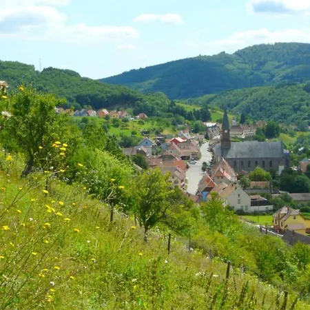 Gite Béthanie à Steige *